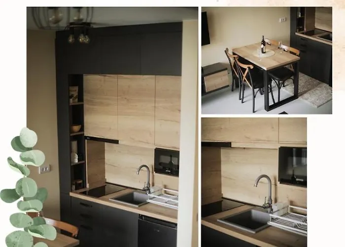 Family 3 Vrnjačka Banja